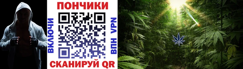 Купить  Дюртюли  МАРИХУАНА OG Kush 